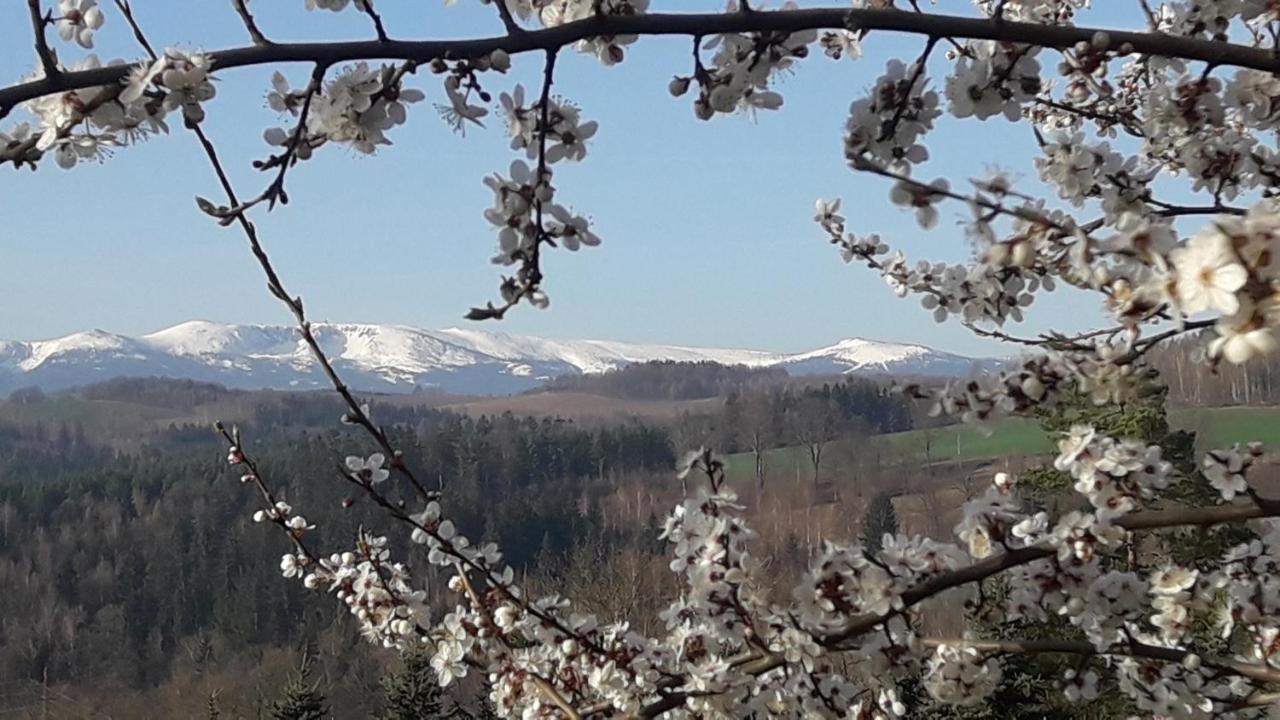 Kowalowe Skaly Spa&More Jelenia Góra Exteriör bild